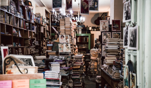 A Diverse Library of Entertainment